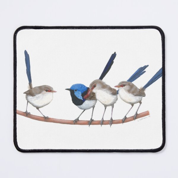 Item preview, Variegated Fairy-wrens designed and sold by LouiseApril.