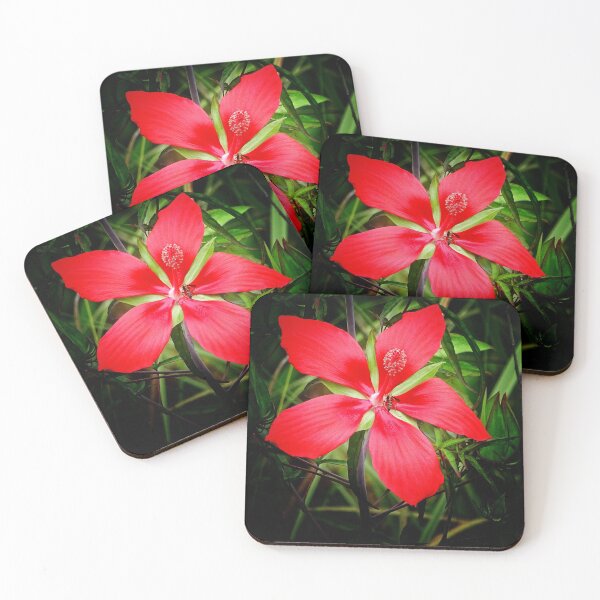 Item preview, Smell the flower designed and sold by Dead-Moroz.
