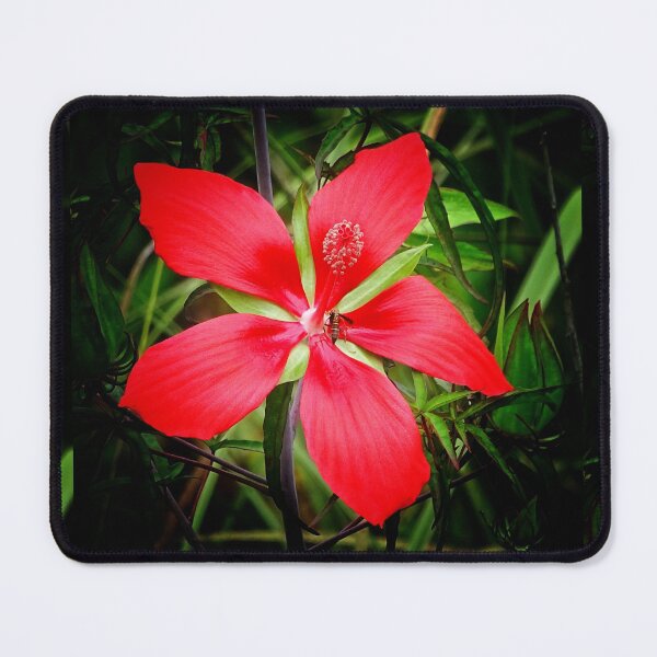 Item preview, Smell the flower designed and sold by Dead-Moroz.