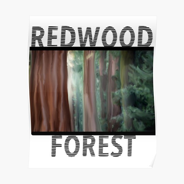 Redwood Forest Painting Poster