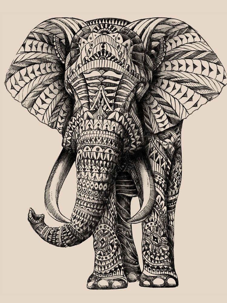 Ornate Elephant by BioWorkZ