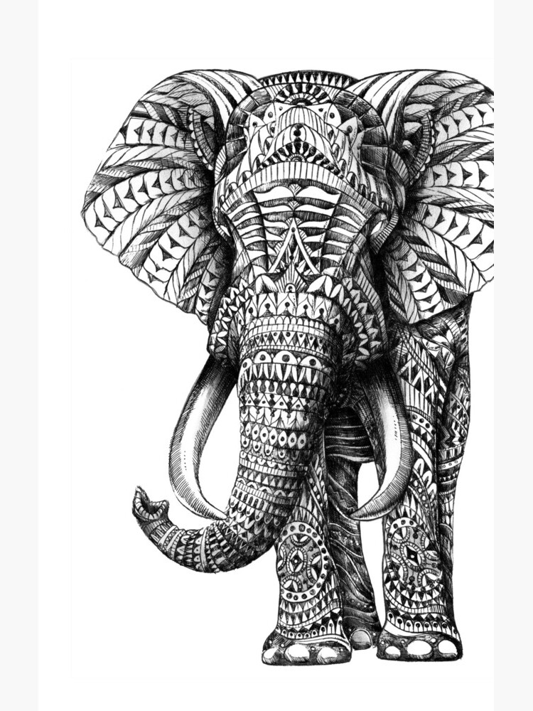 Ornate Elephant by BioWorkZ