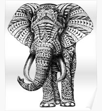 Ornate Elephant Poster