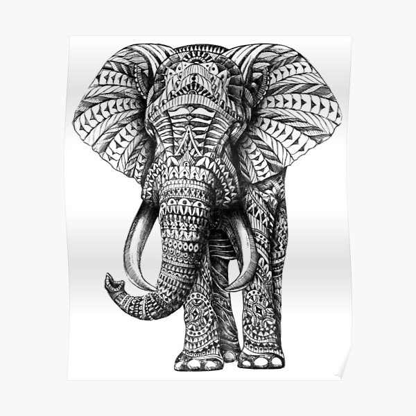 Ornate Elephant Poster