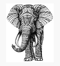 Ornate Elephant Photographic Print
