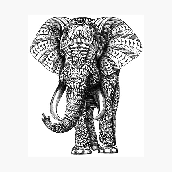 Ornate Elephant Photographic Print