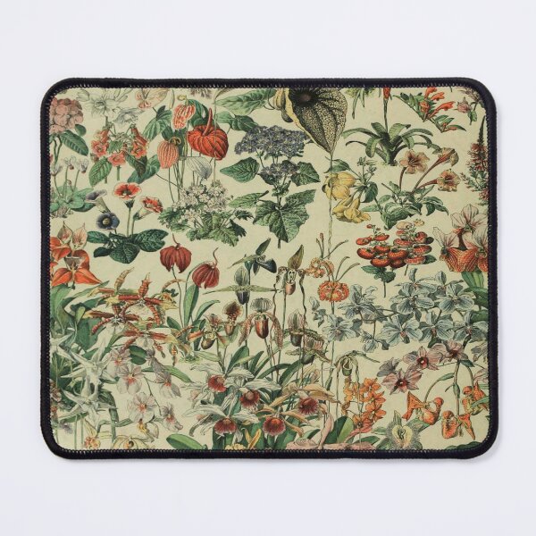 Item preview, Adolphe Millot Fleurs 4 - Vintage Floral Identification Illustration designed and sold by molamode.