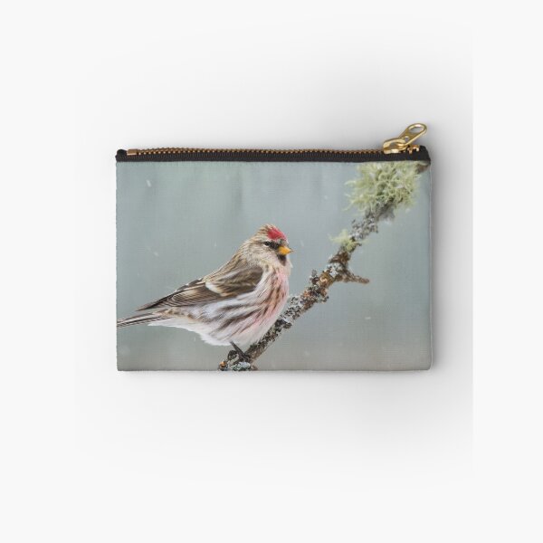 Item preview, Common Redpoll designed and sold by Daniel Cadieux.