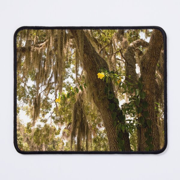 Item preview, Allamanda And Oak Tree designed and sold by Zina Stromberg.
