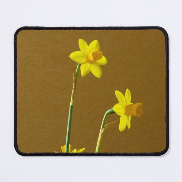 Item preview, Daffodil designed and sold by Zina Stromberg.