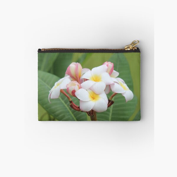 Item preview, Plumeria Presentation designed and sold by Bob Hardy.