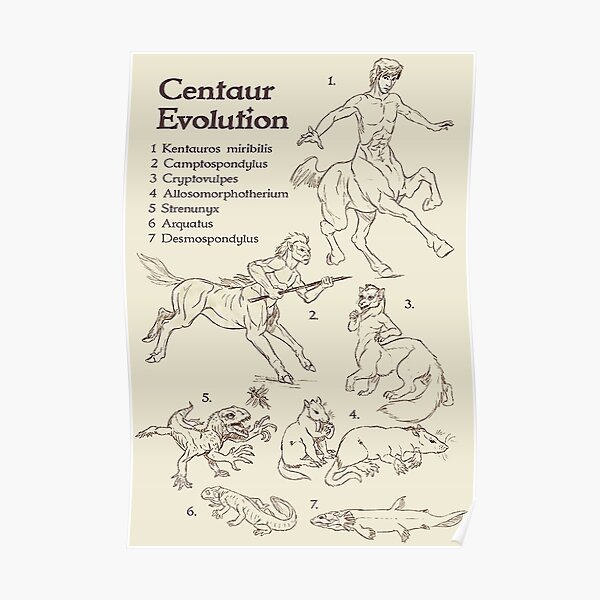 Evolution Chart Posters for Sale | Redbubble Evolution Chart Posters for Sale | Redbubble