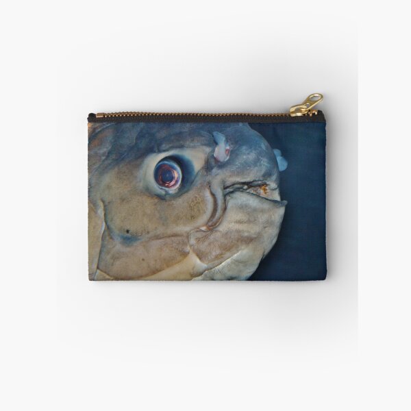Item preview, Pacu designed and sold by Eileen Brymer.