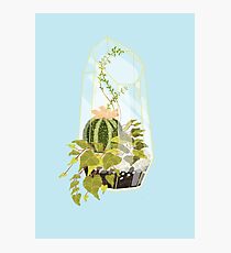 Blue Terrarium Photographic Print