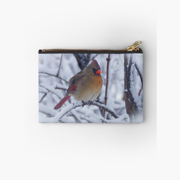 Item preview, Female Cardinal in the Snow designed and sold by Sandy Keeton.