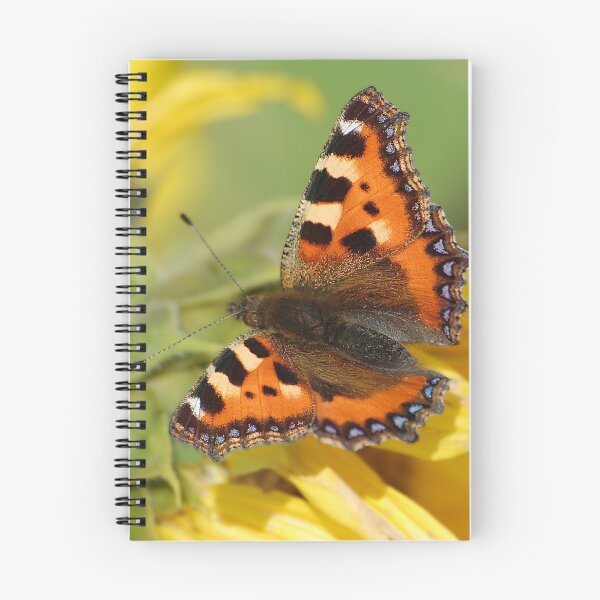 Item preview, Small Tortoiseshell designed and sold by Declan Carr.