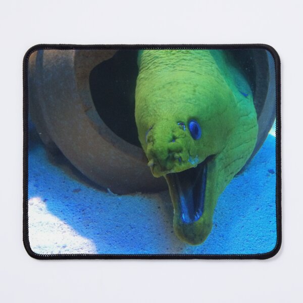 Item preview, Joking Eel designed and sold by AestheticNerd15.
