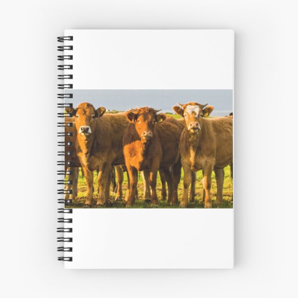 Item preview, Down on the farm designed and sold by SPPDesign.