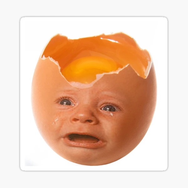 st,small,507x507-pad,600x600,