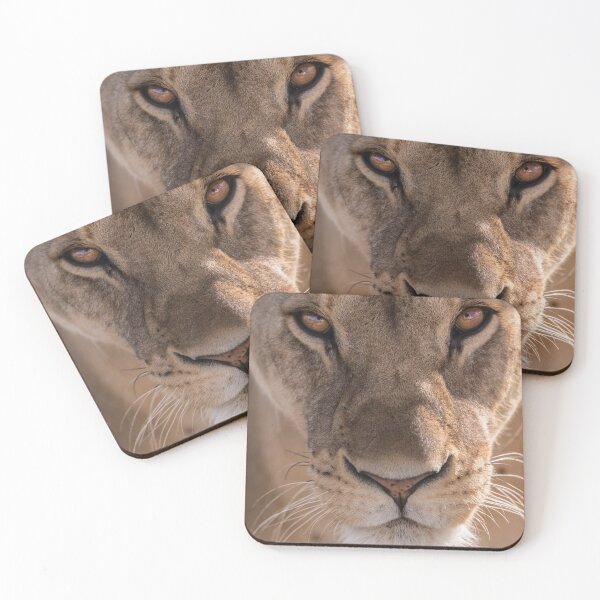 Item preview, Fierce Lioness  designed and sold by newburyboutique.