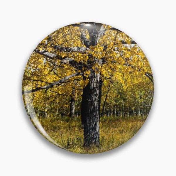 Item preview, Fall trees designed and sold by CanadianWild418.