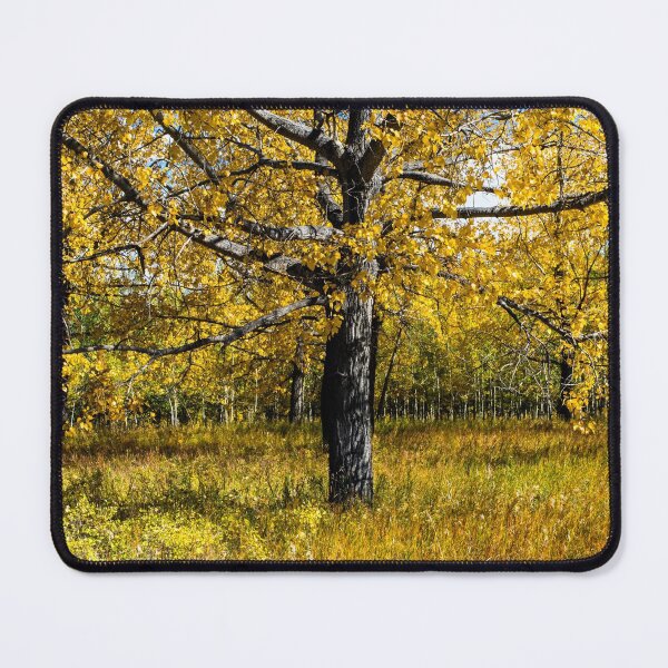 Item preview, Fall trees designed and sold by CanadianWild418.