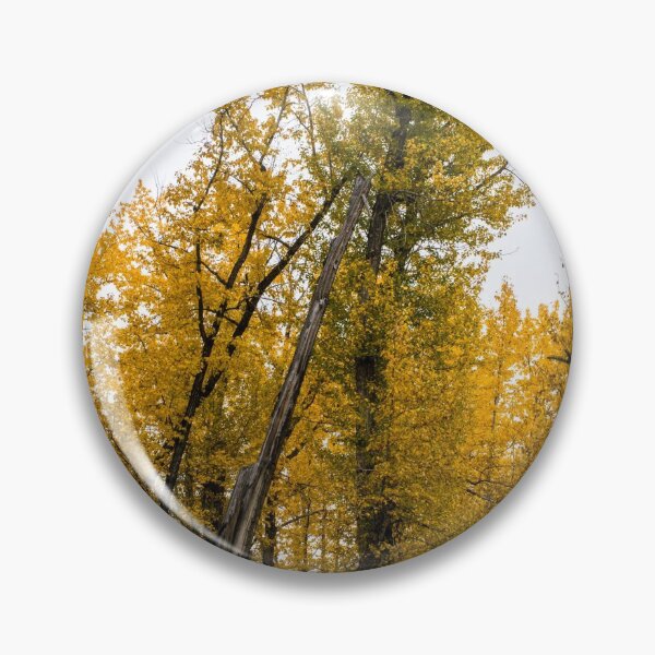 Item preview, Leaning trees designed and sold by CanadianWild418.