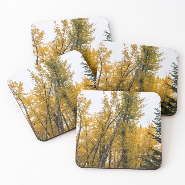 Item preview, Leaning trees designed and sold by CanadianWild418.