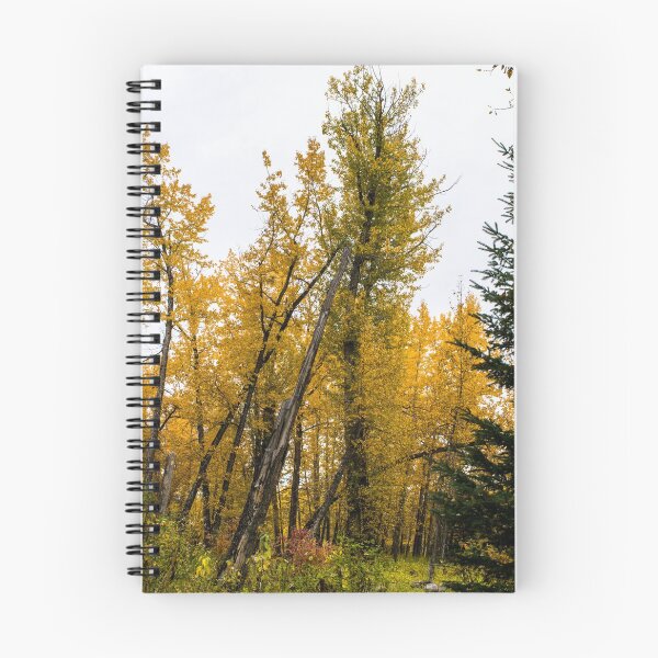 Item preview, Leaning trees designed and sold by CanadianWild418.