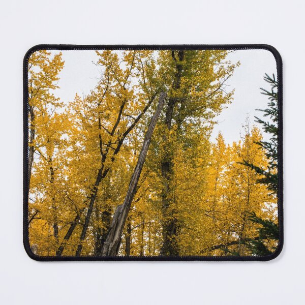 Item preview, Leaning trees designed and sold by CanadianWild418.