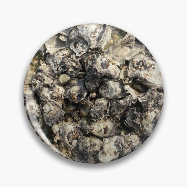 Item preview, Barnacles on a Rock designed and sold by Sinemathk.