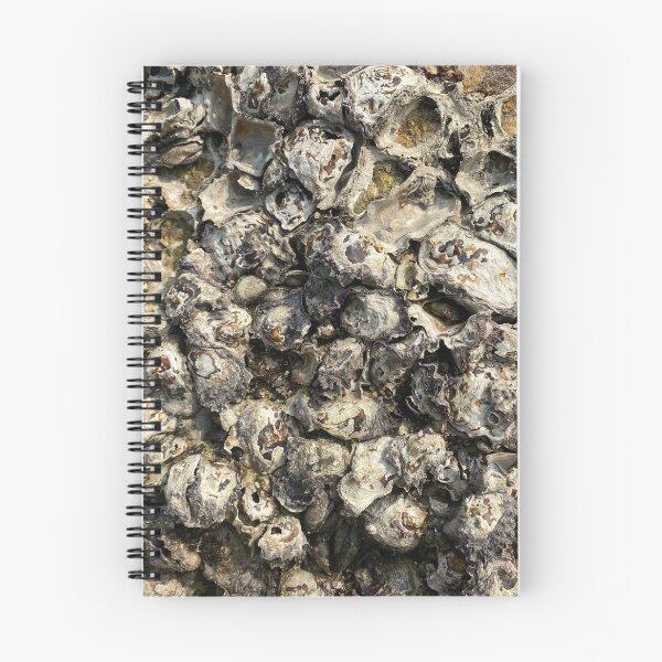 Item preview, Barnacles on a Rock designed and sold by Sinemathk.