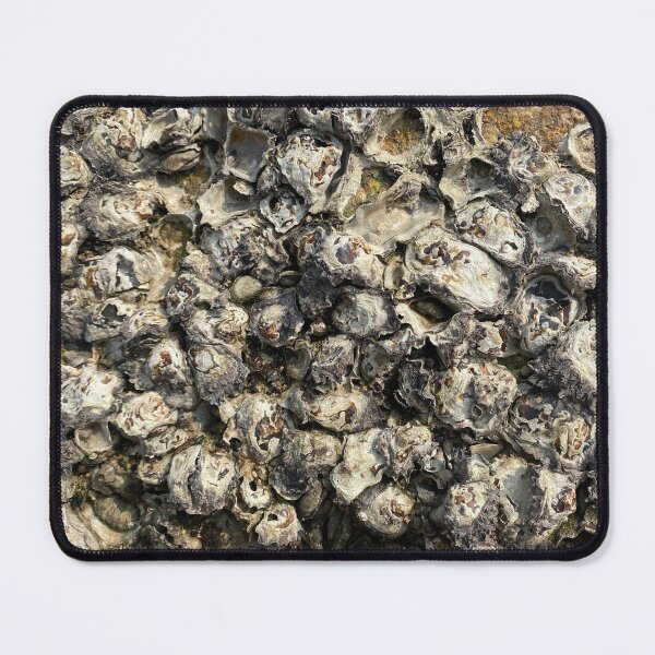 Item preview, Barnacles on a Rock designed and sold by Sinemathk.