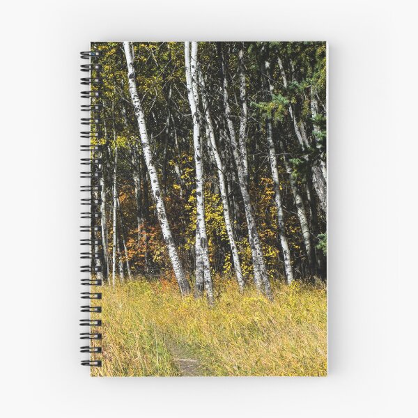 Item preview, Trail through the forest designed and sold by CanadianWild418.