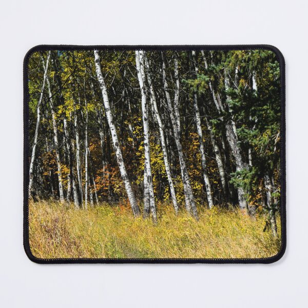Item preview, Trail through the forest designed and sold by CanadianWild418.