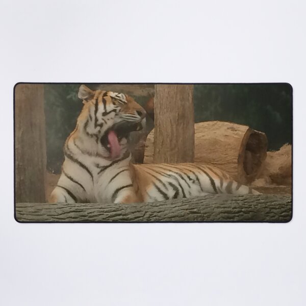 Item preview, Tigre bostezando designed and sold by AestheticNerd15.