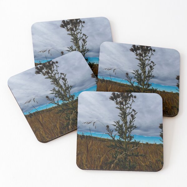 Item preview, Thistle in the field designed and sold by CanadianWild418.
