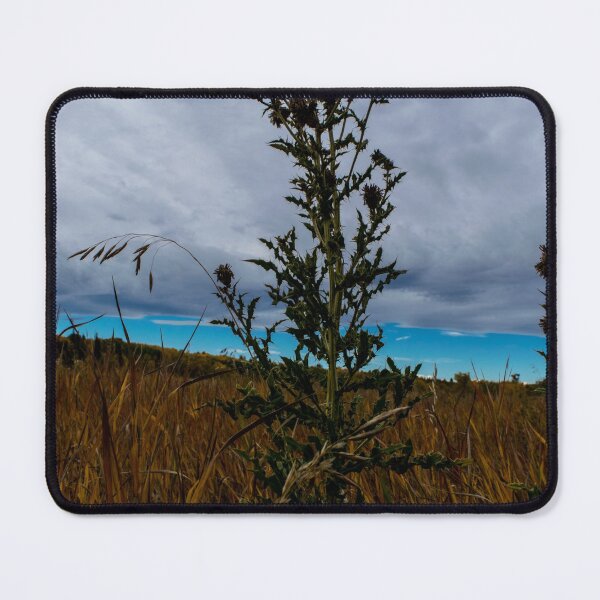 Item preview, Thistle in the field designed and sold by CanadianWild418.