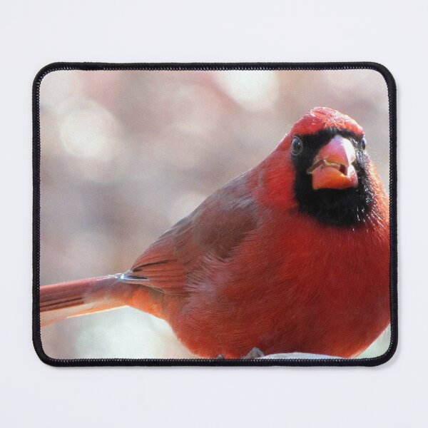 Item preview, Ommnomnomnom, nom. designed and sold by Jean Gregory Evans.