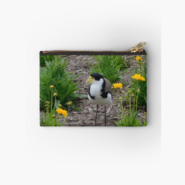 Item preview, Masked Lapwing designed and sold by 29Breizh33.