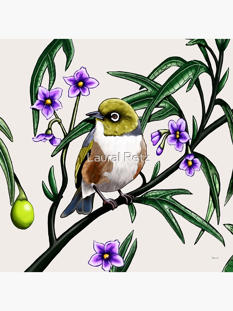 Thumbnail 4 of 4, Pillow, Silver Eye in Kangaroo Apple #1 by Australian artist Laural Retz designed and sold by lauralretz.