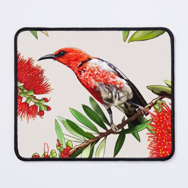 Scarlet Honeyeater in Callistemon #2 by Australian artist Laural Retz Mouse Pad