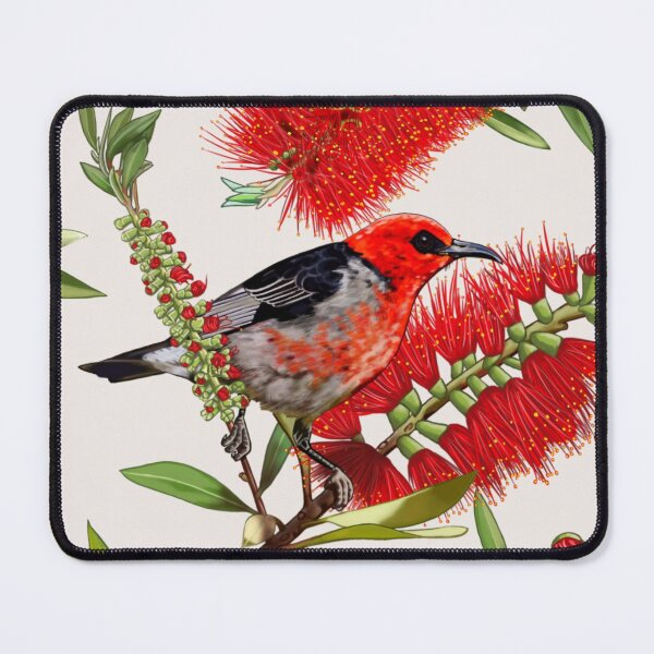 Scarlet Honeyeater in Callistemon #1 by Australian artist Laural Retz Mouse Pad