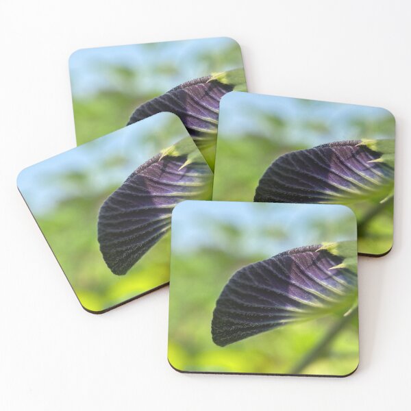 Item preview, Unfurled Sweetscented Pigeonwings Flower designed and sold by Sinemathk.