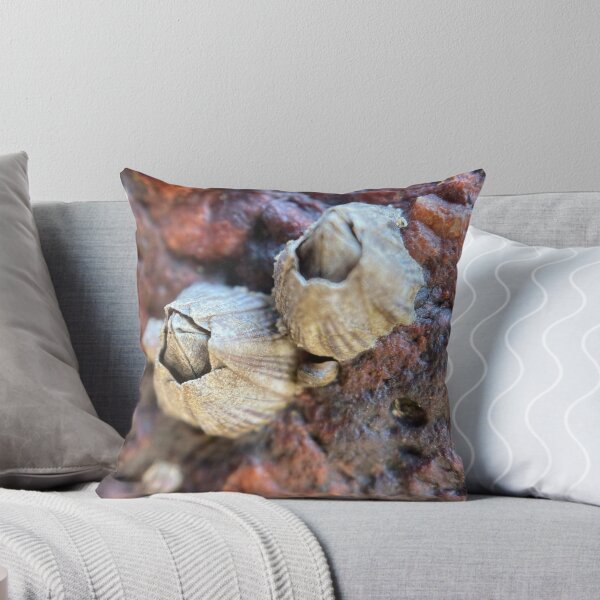 Item preview, Barnacles on a Rock designed and sold by Sinemathk.