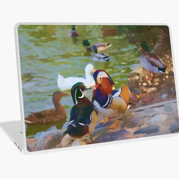 Mandarin Ducks Laptop Skin