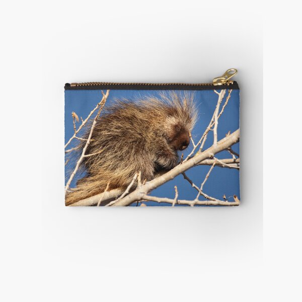 Item preview, Sleepy Porcupine designed and sold by Kim Barton.