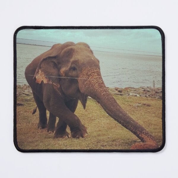 Item preview, Happy Elephant designed and sold by starryforest.
