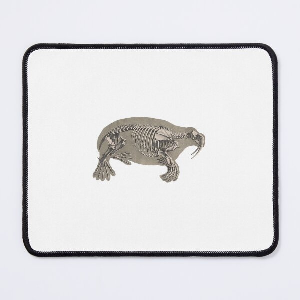 Item preview, Walrus Skeleton 1821-1838 designed and sold by BelleZeare.