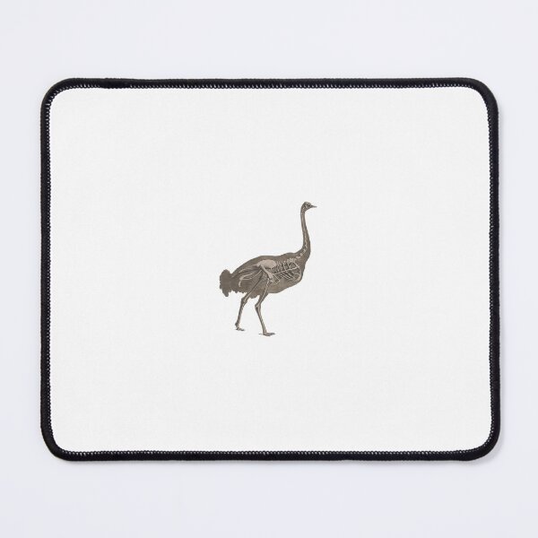 Item preview, Ostrich Skeleton 1821-1838 designed and sold by BelleZeare.